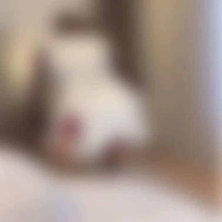 嫁のお着替えの写真とパンツ接写です。