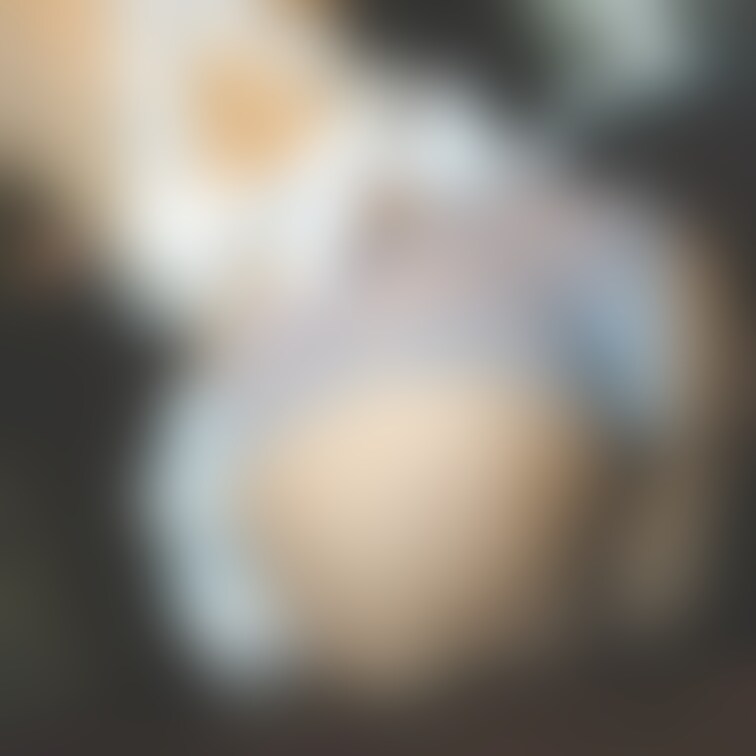 モザイクを外した写真をDMで送ります❣️
いいね♡を押して、応援コメントを書いてDM下さい🥰
①いいね♡
②応