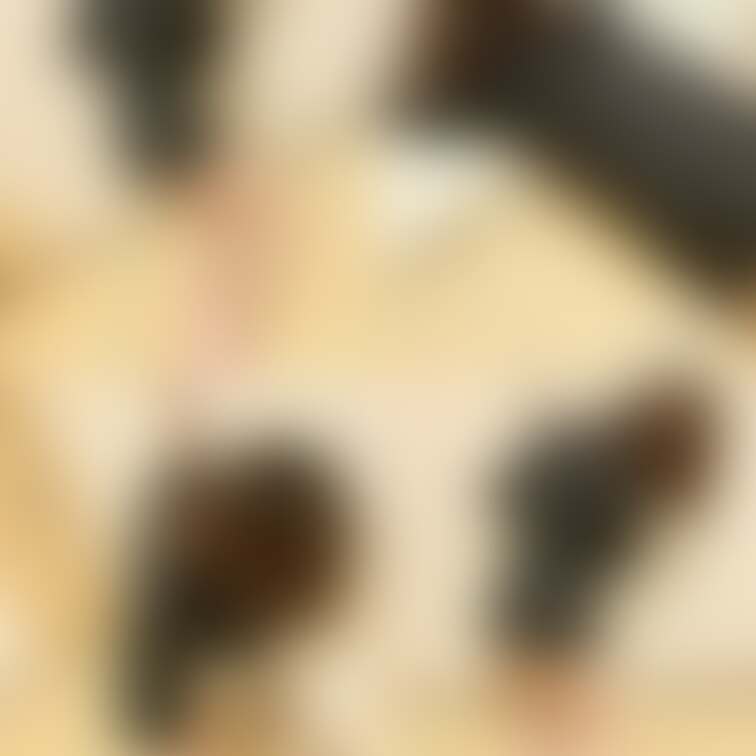 脚の画像集2です
頭や下着も映っています

[脚の画像集1]
https://myfans.jp/posts/f