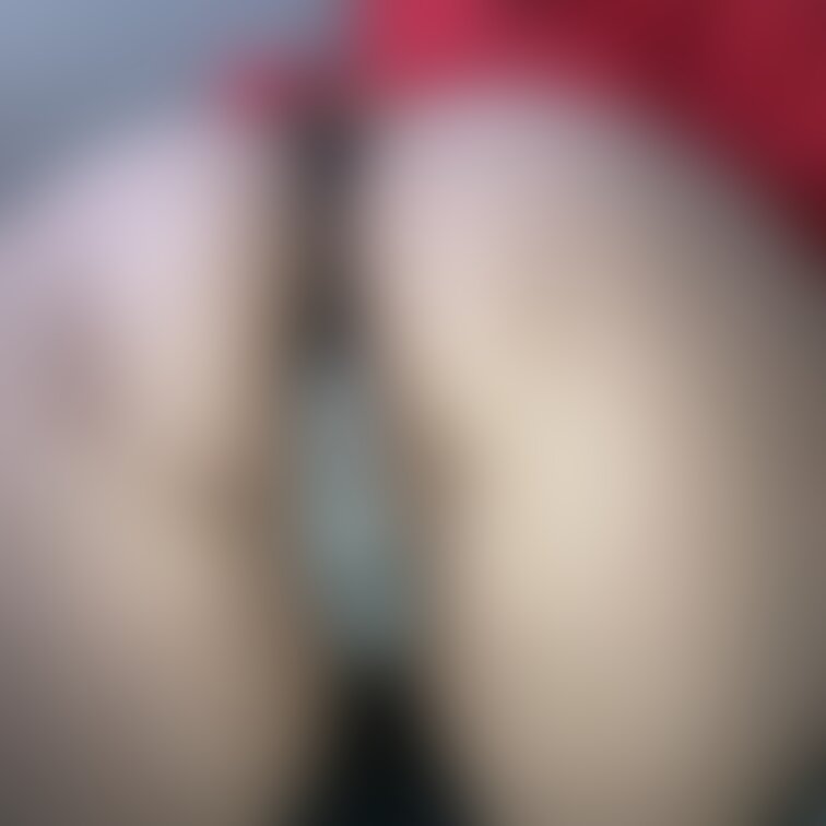 おはようございます。