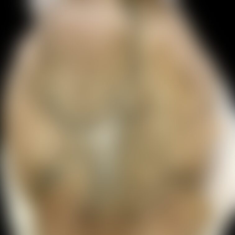 接写してます。JDさん