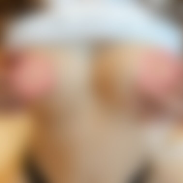Twitterに投稿した写真です😉
スタンプ🍐は有料プランで♪