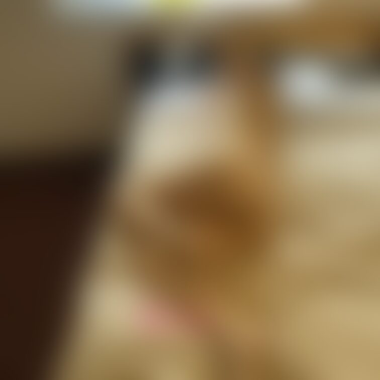 下着取っちゃった🥰💕
裸でいるのも気持ちいいね(´∀`*)💕
一緒にまったり♡♡♡
イチャイチャしちゃう❓🥰🥰🥰