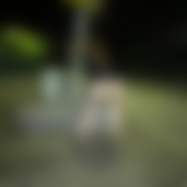 会員様限定の写真を載っけてくよー!!
