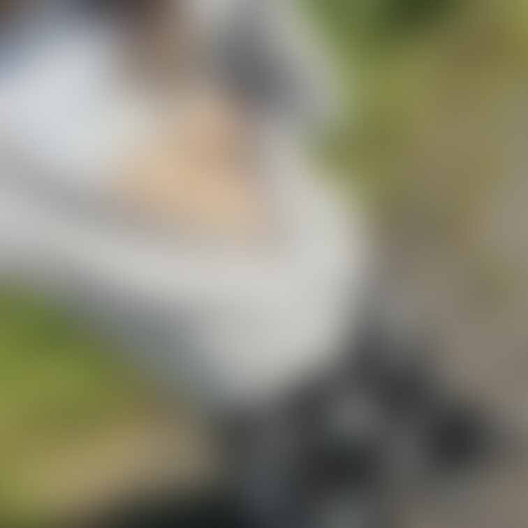 昨日のお散歩写真♪

【みみからのお願い💕】 
えっちだと思ってくれた方は 
写真下の♡印をポチッとしてくれると