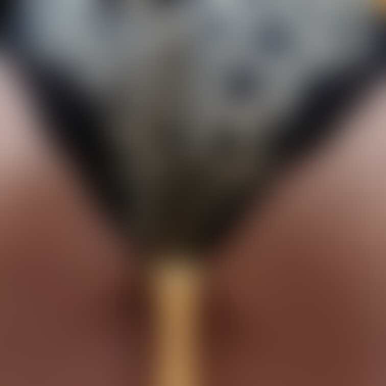 雌豹T(´・ω・`)