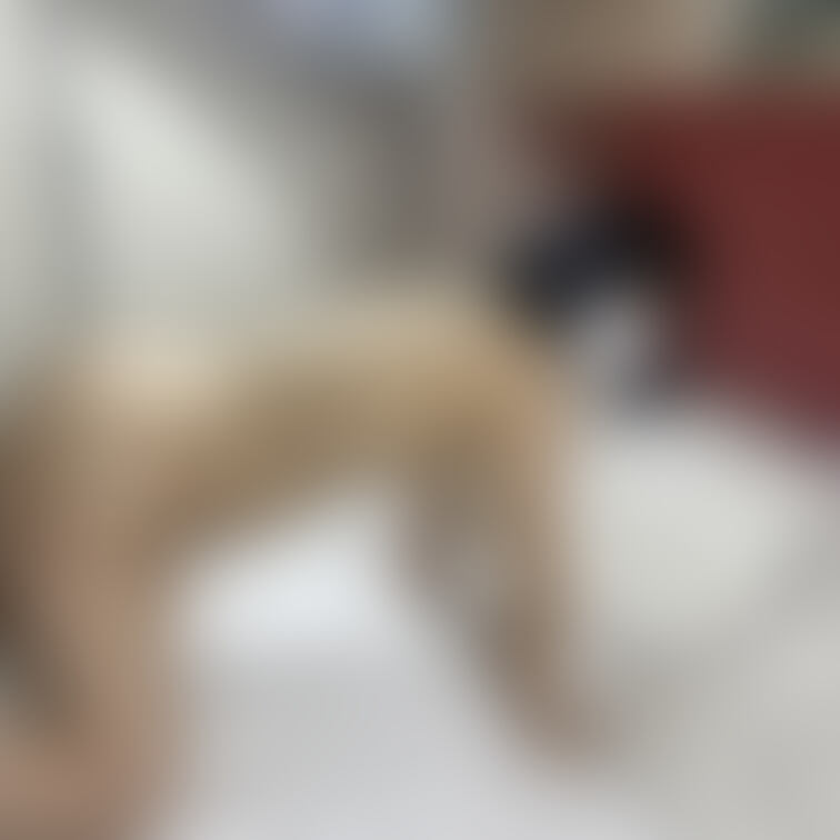極道の妻、妊婦かえでちゃん