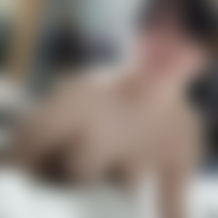 朝、起こしてる感じに撮れました。