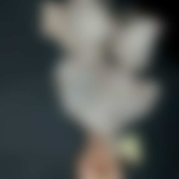 💘おはよです💘

になです！✨
⭐️いいね⭐️ 押して応援してくれると喜びます⭐️✨


になの画像の掲載期
