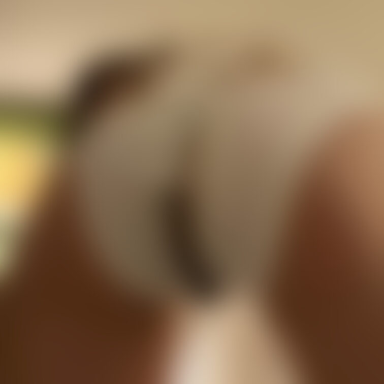 真っ黒で、、
だらしなく伸びきった、、、
卑猥で、、いやらしい、、
ビラビラでしょ。。。