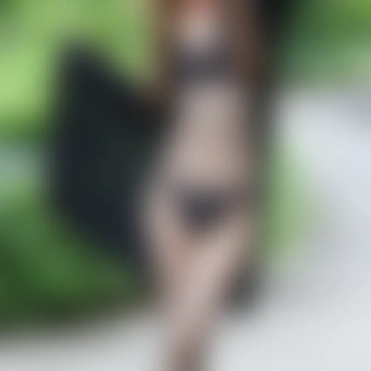 野外撮影って開放的になれるのとハラハラドキドキが大好き💕
この時は知らない年配の方から何の撮影って⁉️少しお話したけど