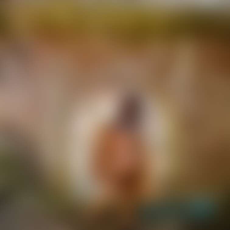 過去の削除写真の再投稿です。（2023年5月投稿）
煉瓦の素敵なところへ行ってきました。⑤