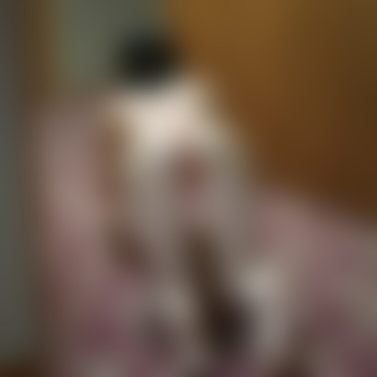 犬になってきました🥰