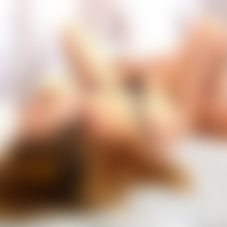 明日投稿予定の動画の静止画です。お楽しみに。