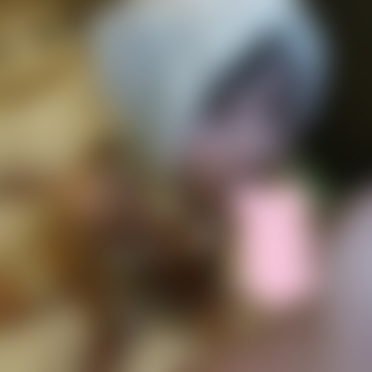 藤本美〇似のコンカフェ嬢りこちゃん(19)にネココス着せて交尾からの種付け2連発ｗ
https://myfans.jp