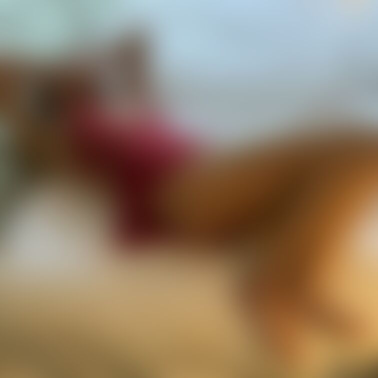 わたしぃ、、、
愛揶がぁ、、えっち、、なのぉ。。。