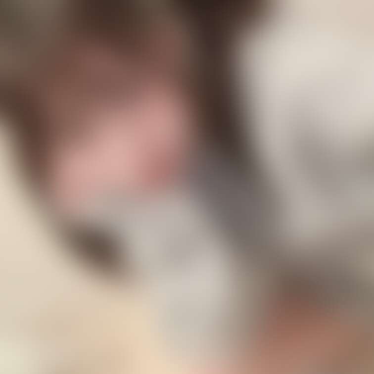見せつけてくるたなか