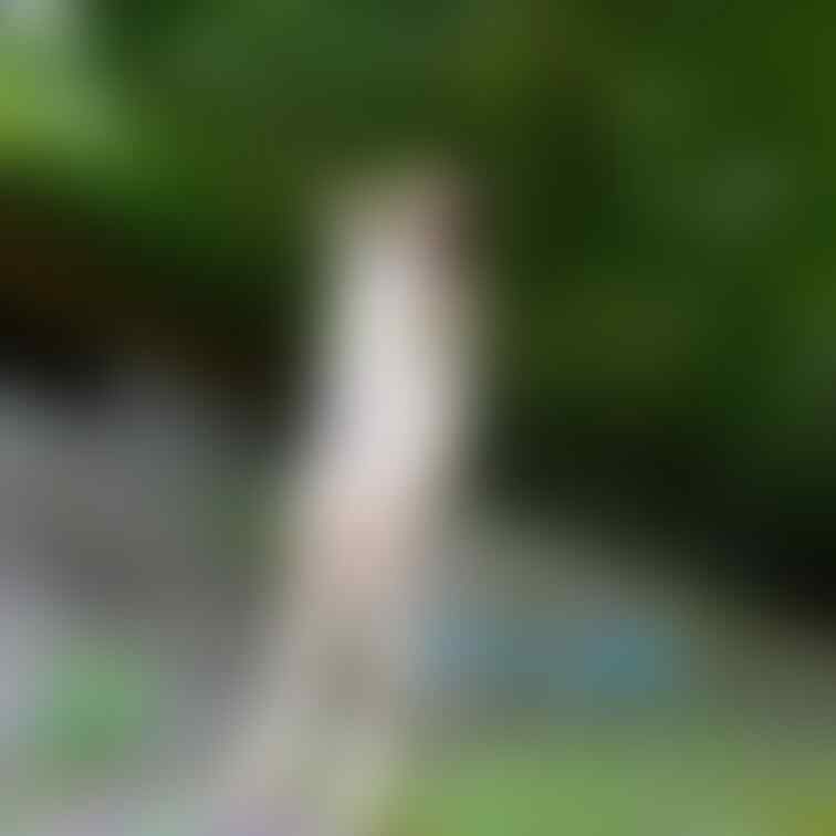 自然の中でも沢山撮りました✌️