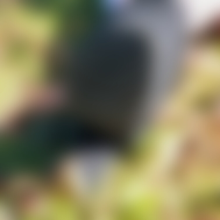 色々な靴裏の写真を集めてみました。汚れやすり減りなどどれも使用感があって良い感じです👍