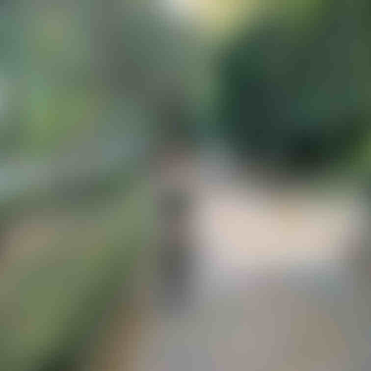 公園でボンデージ