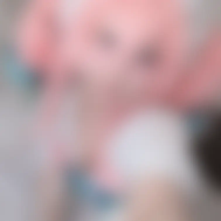 崩〇スター〇イル･ヒ〇ンシーちゃんCosplay