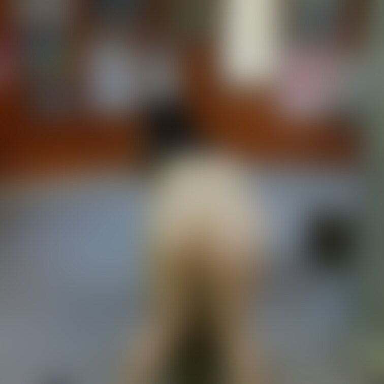 どこかはナイショ🙊
全裸歩行動画もあります