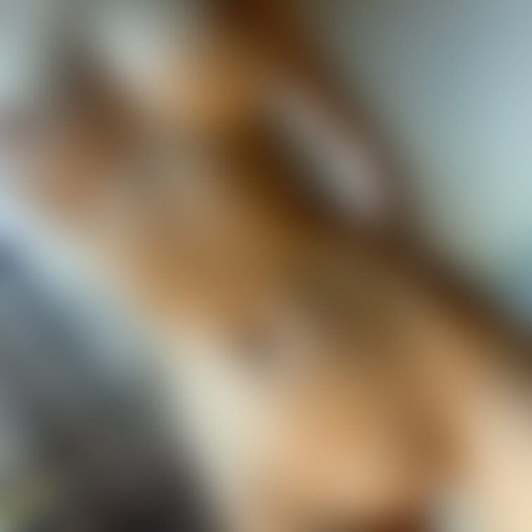 自撮りって限界あるから、近くに住んでるフォロワーさん撮りに来てくれないかなって思う時ある🫠