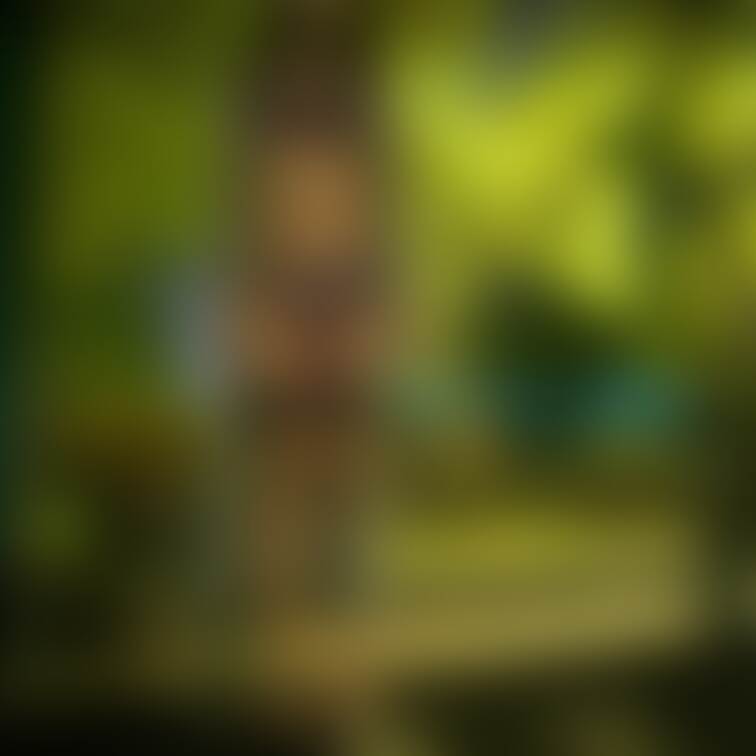 夜の公園で・・・