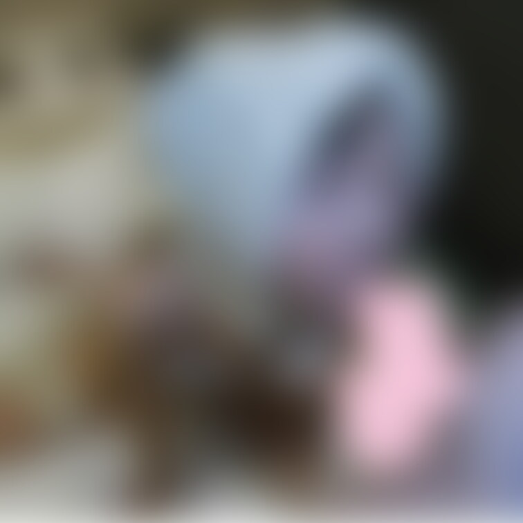 藤本美〇似のコンカフェ嬢りこちゃん(19)にネココス着せて交尾からの種付け2連発ｗ
https://myfans.jp