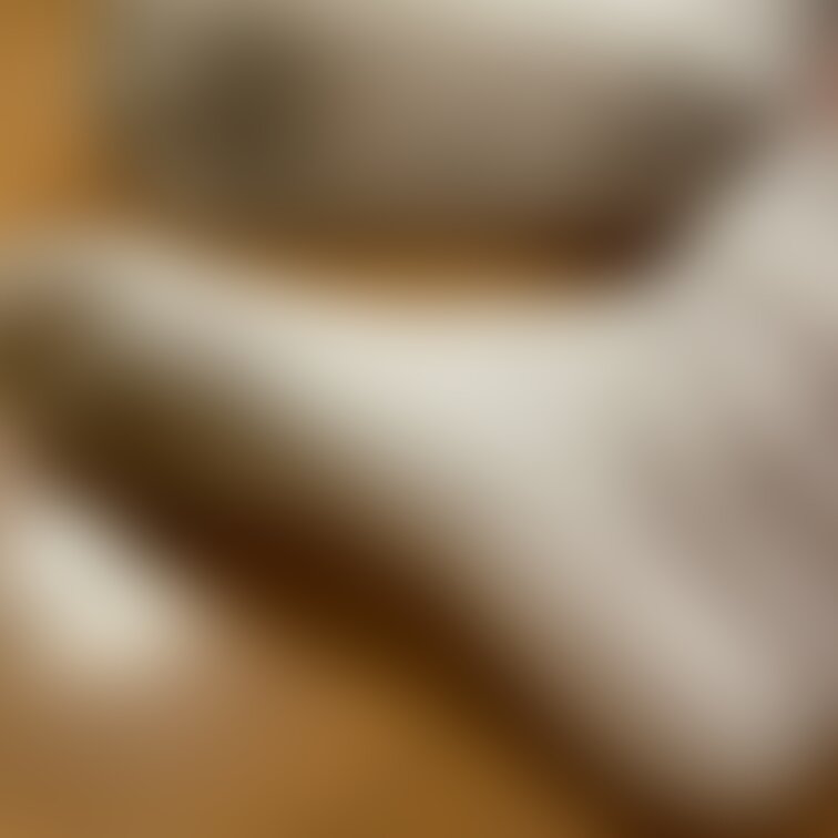 今日の靴下🧦