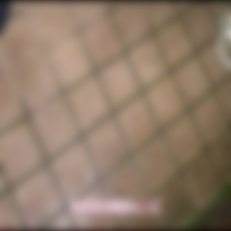 過去動画ですが、単独の皆さんで色々鑑賞してもらいましたｗ今年も開催致します(^o^)