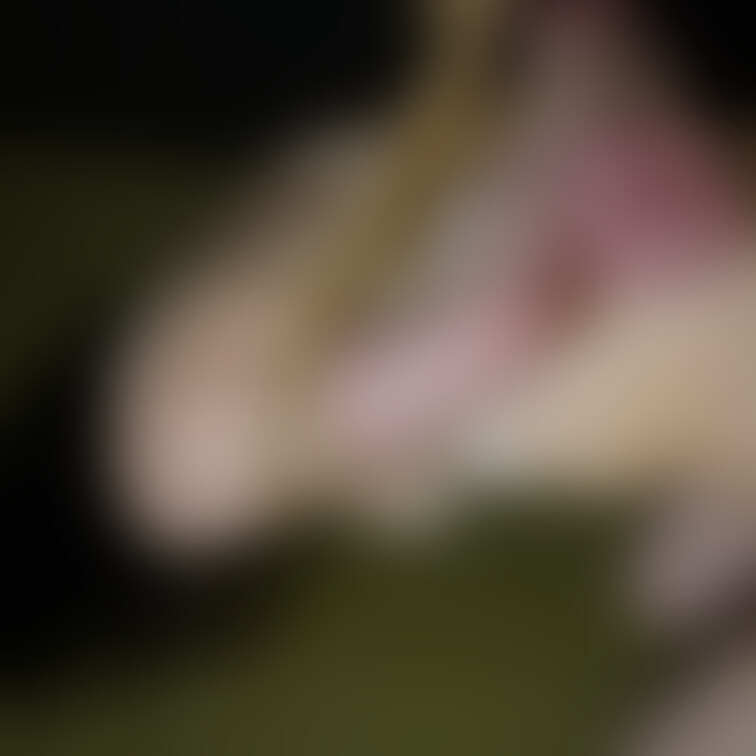 身体を縄に預けていく