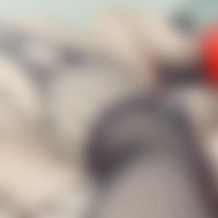 むちむちすぎる:( ;´꒳`;)