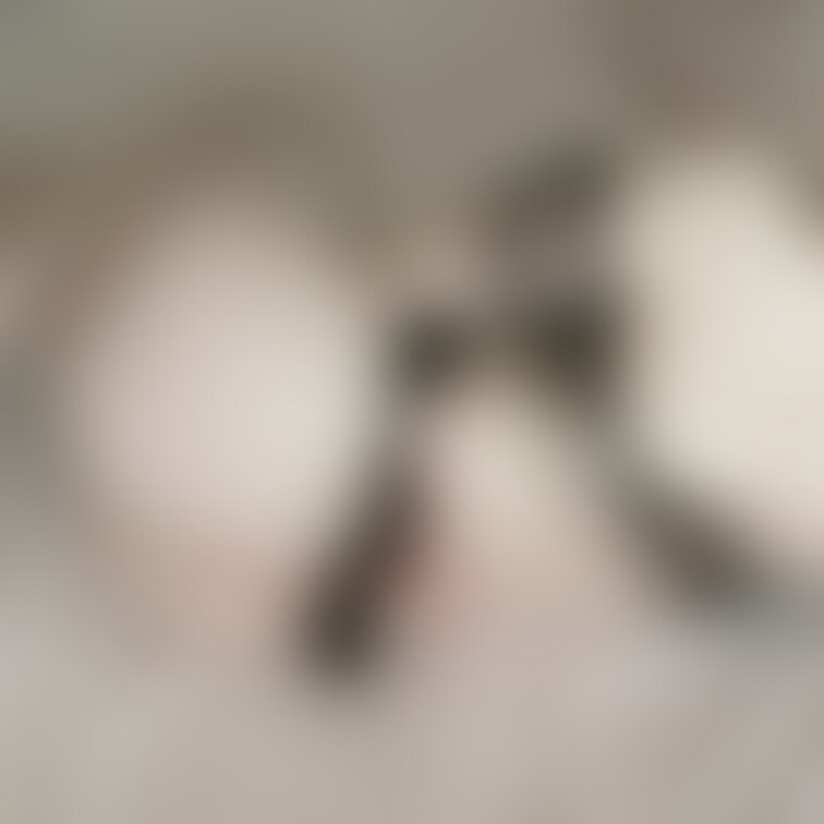リボンセット☆差分