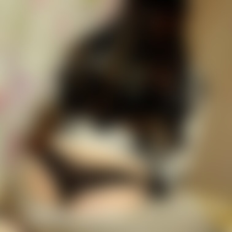 意外と単体ポストのサーチバンにされちゃったお尻です笑
○○○は優秀だなぁ…
