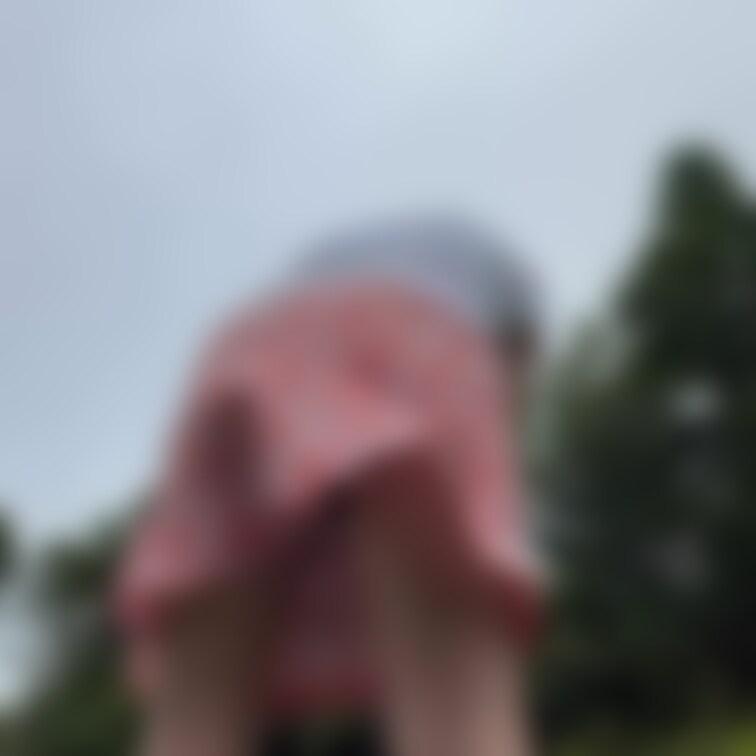 妻のパンチラ