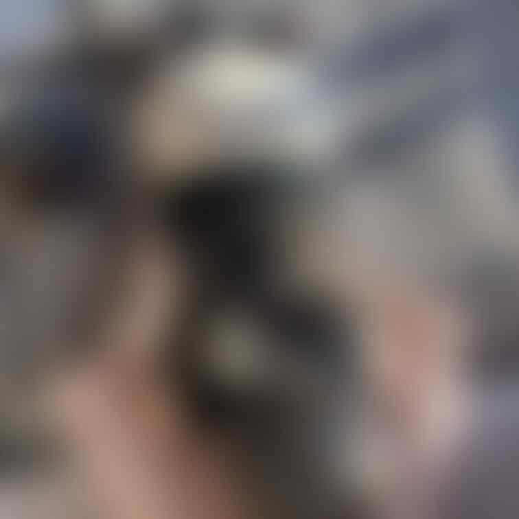 🐷四つ這いフェラ🐷
髪の毛染めてた頃の写真です✨