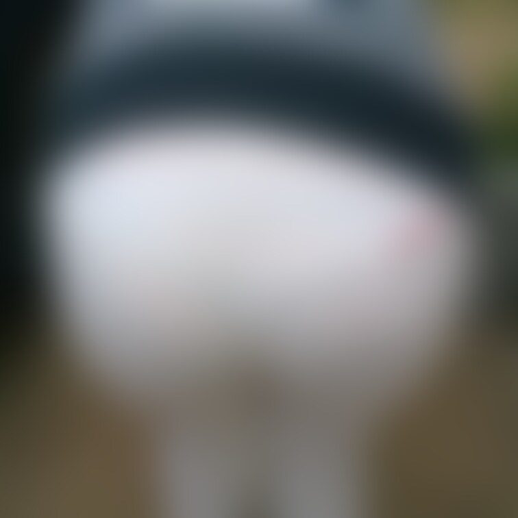 透け透け💦