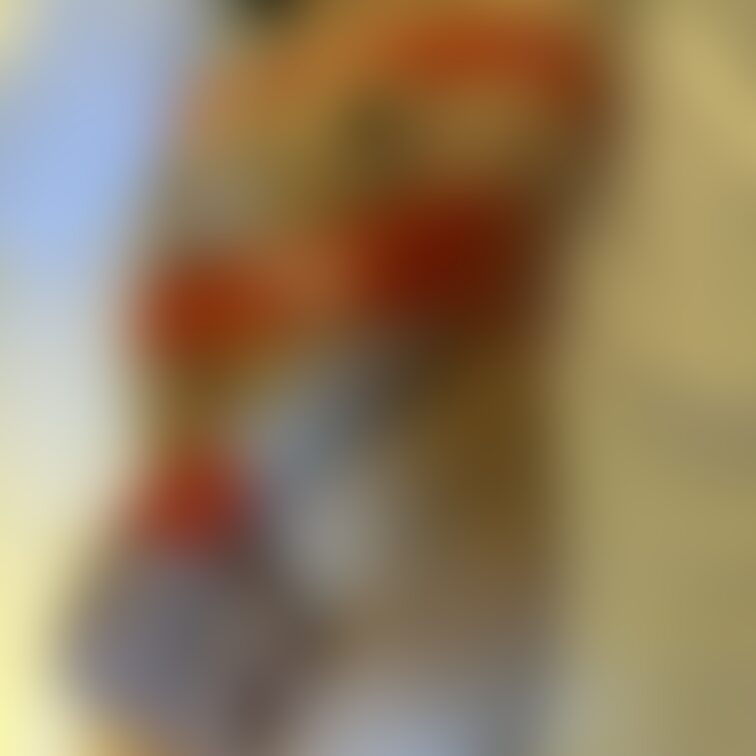 トシコ55歳