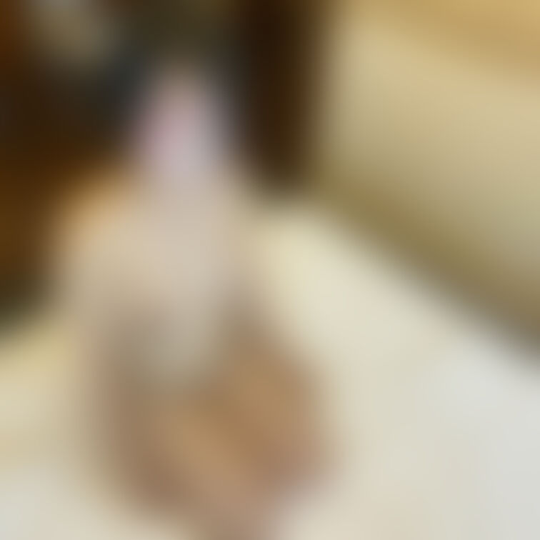 保育士妊婦せりなちゃん