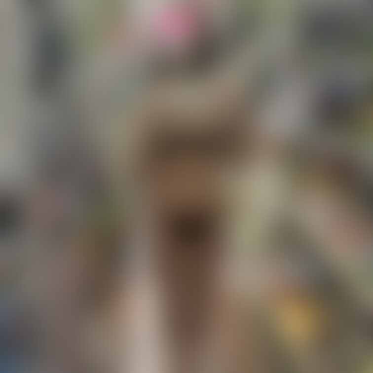 <本日の1枚>
お店でこんなカッコしてる人を見つけたら、みなさんどうしますかね?
Yuriは7/26(水)23:00