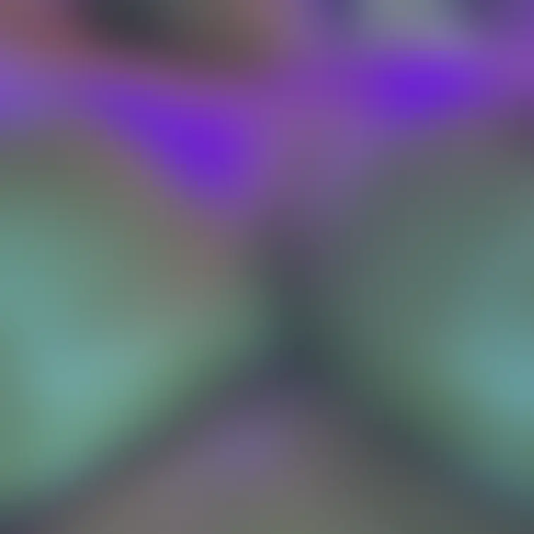 投稿