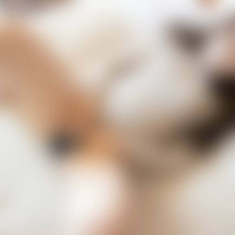 優しくてくれる💓？