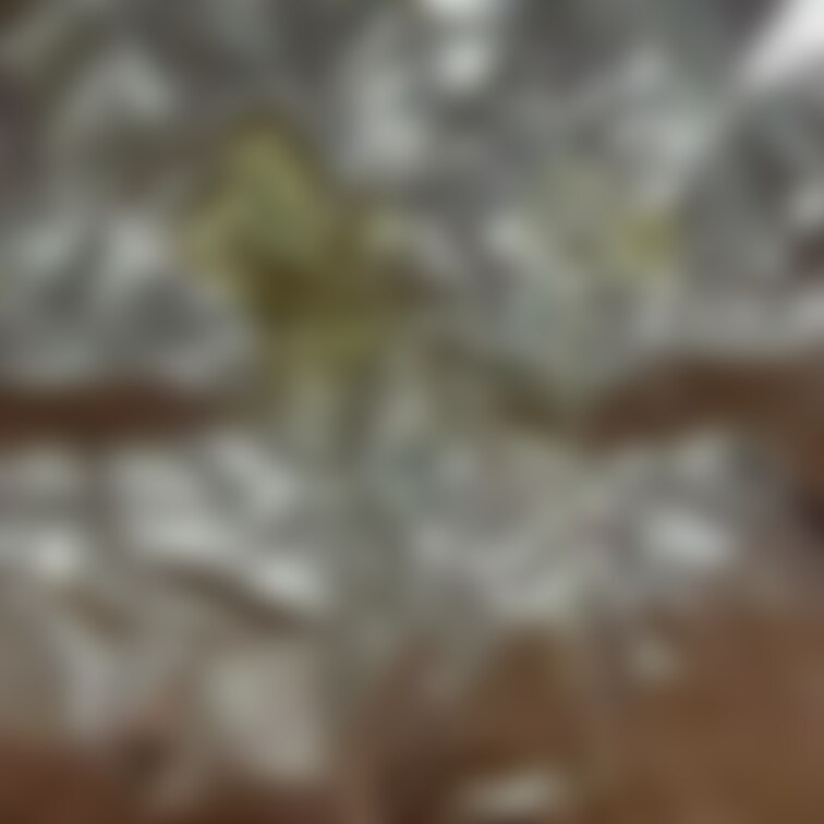 アルミホイルにおしっこ