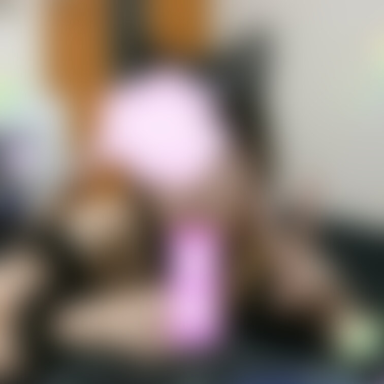 🎉にゃんにゃんの日🎉

になです！✨
⭐️いいね⭐️ 押して応援してくれると喜びます⭐️✨

になの画像の掲載