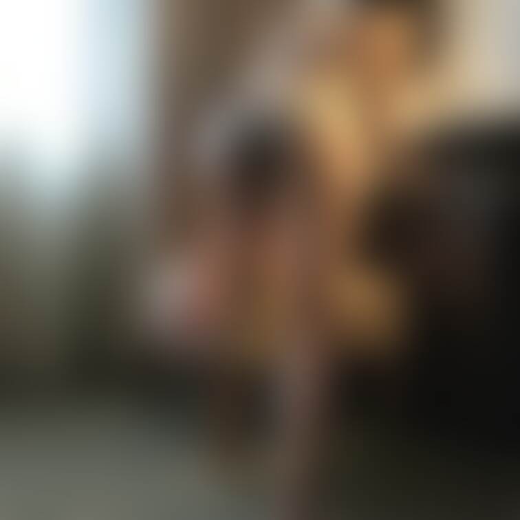 まだかなぁ、、、待ってるのにぃ。。。