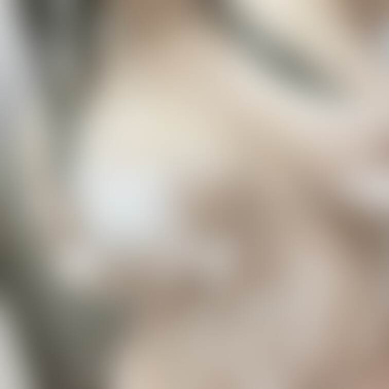 あわあわん🫧𓂃 𓈒𓂂𓏸