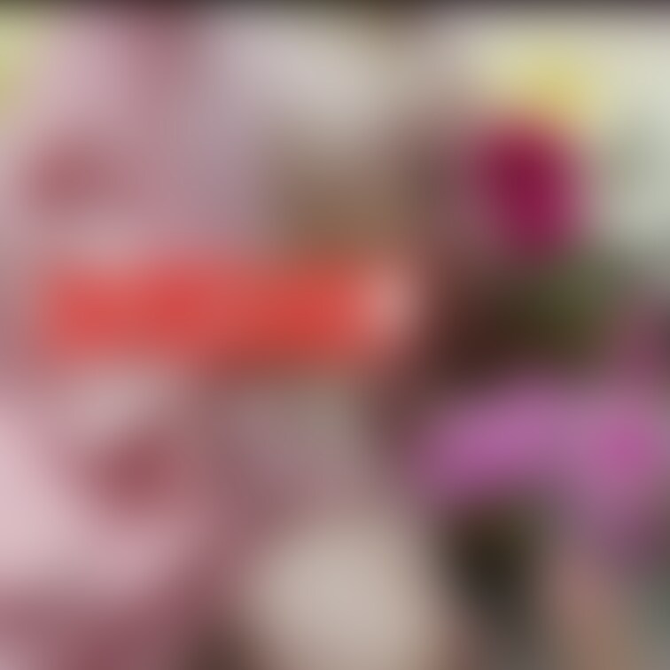 新年のご挨拶です💕ＦＲＥＥにしました💕フォロワーの皆さん、昨年は静かな人妻に気づいてくれてありがとうございます💕会員にな