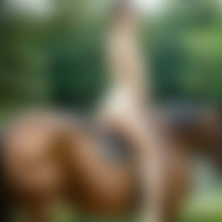 あまりにも健全な画像をアップロードしてしまったので 水着で乗馬してもらうことにしました。 相変わらず後ろ向きに乗ってる子