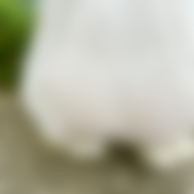 かなり透けてました。ずって気が付かず1日過ごしてました。
でもちょっと興奮しちゃうな。